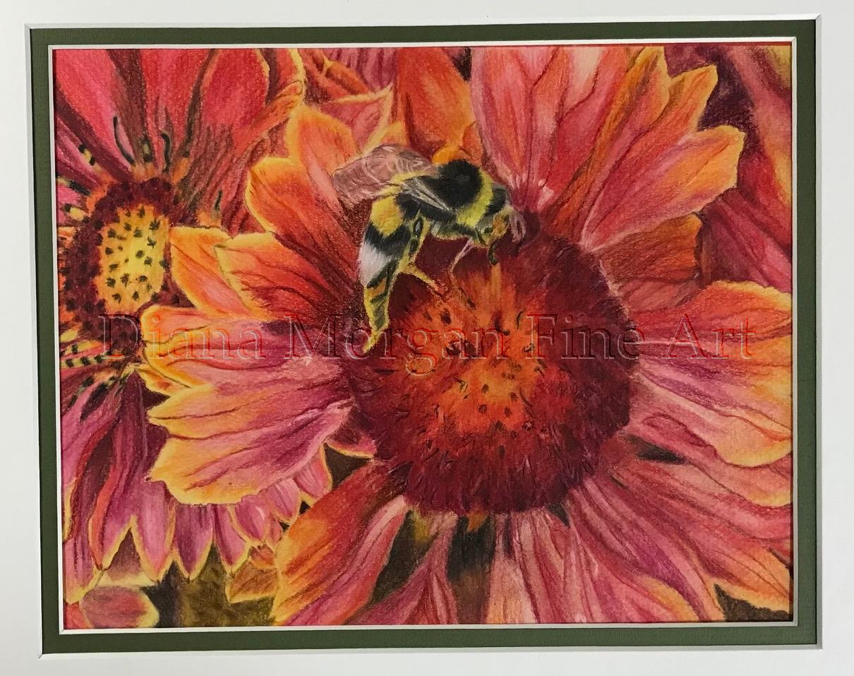 Bee the Dahlia